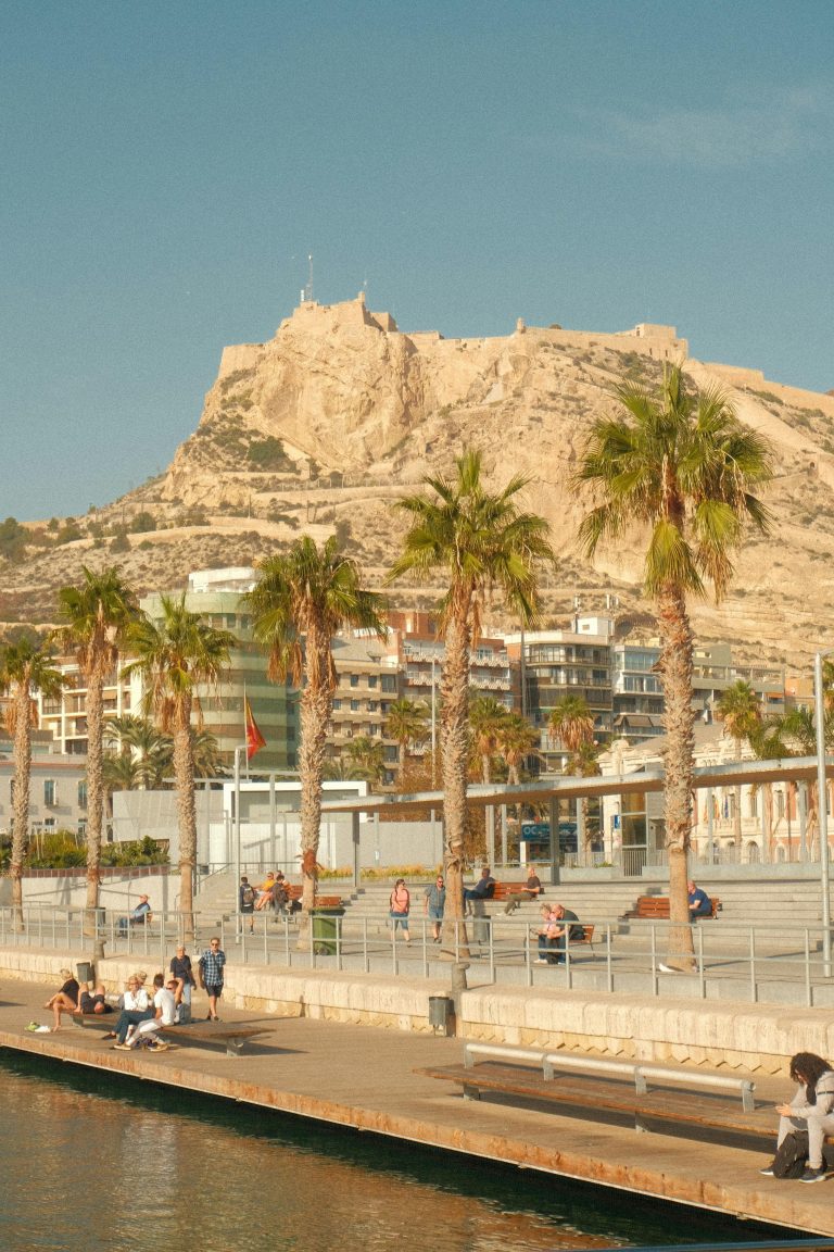 Agencia de marketing digital para nutricionistas en Alicante Vitalgraph Digital.